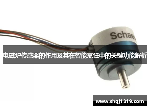 电磁炉传感器的作用及其在智能烹饪中的关键功能解析