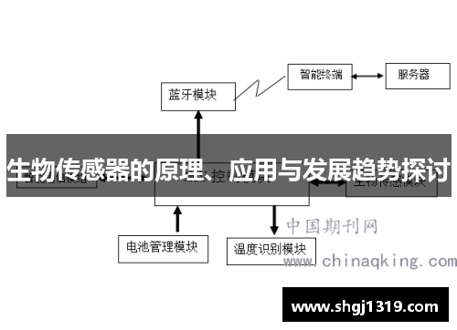 生物传感器的原理、应用与发展趋势探讨