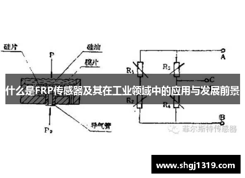 什么是FRP传感器及其在工业领域中的应用与发展前景